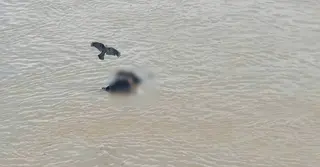 বংশাই নদী থেকে অজ্ঞাত ব্যক্তির মরদেহ উদ্ধার